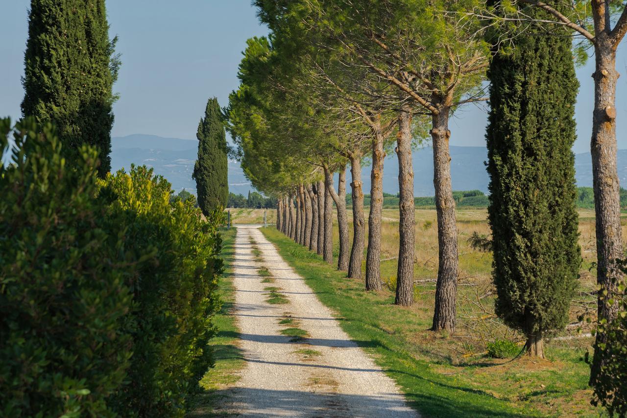 Agriturismo Bandinelli Braccagni Dış mekan fotoğraf