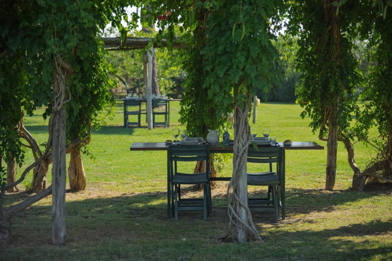 Agriturismo Bandinelli Braccagni Dış mekan fotoğraf